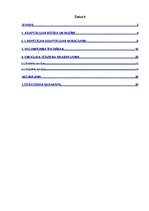 Referāts 'Emocijas mazu bērnu adaptācijas procesā pirmsskolas izglītības iestādē', 1.