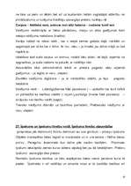 Konspekts 'Konspekts romiešu tiesību vēsturē', 19.