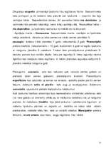 Konspekts 'Konspekts romiešu tiesību vēsturē', 21.