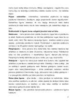 Konspekts 'Konspekts romiešu tiesību vēsturē', 27.