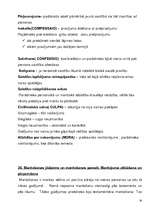 Konspekts 'Konspekts romiešu tiesību vēsturē', 30.