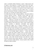 Konspekts 'Konspekts romiešu tiesību vēsturē', 31.