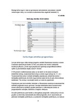 Referāts 'Darba tirgus vispārējs raksturojums', 18.