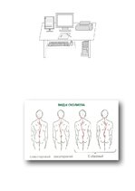 Diplomdarbs 'Fizioterapijas nozīme bērniem ar stājas traucējumiem', 2.