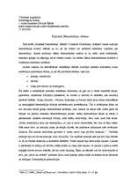 Konspekts 'Klasiskā demokrātija - Atēnas', 1.