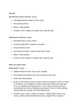 Konspekts 'Mūzikas attīstības hronoloģija', 2.