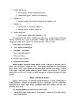 Konspekts 'Kultūras ģeogrāfija', 2.