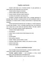 Referāts 'Personāla vadība un motivēšana', 5.