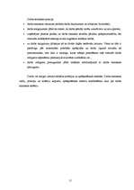 Referāts 'Personāla vadība un motivēšana', 15.