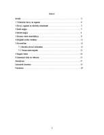 Referāts 'Raganas, burvji un maģija', 2.