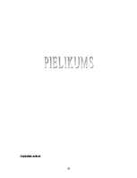 Referāts 'Raganas, burvji un maģija', 19.