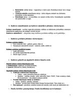 Konspekts 'Kultūras eksāmena jautājumi un atbildes kultūras menedžmentā', 2.