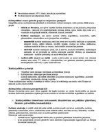 Konspekts 'Kultūras eksāmena jautājumi un atbildes kultūras menedžmentā', 15.