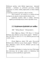 Biznesa plāns 'SMF "Mēbeļu dizains"', 10.