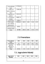 Biznesa plāns 'SMF "Mēbeļu dizains"', 35.