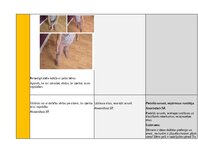 Konspekts 'Portfolio - ideju mape ar SR 3. vecuma posmam', 9.