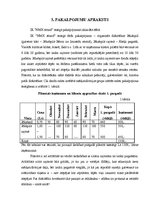 Biznesa plāns 'IK "NMX sound"', 5.