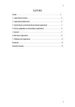 Referāts 'Organizācijas raksturojums pēc menedžmenta teorijas jēdziena', 2.