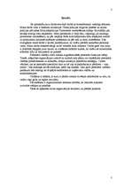 Referāts 'Organizācijas raksturojums pēc menedžmenta teorijas jēdziena', 3.