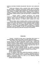 Referāts 'Organizācijas raksturojums pēc menedžmenta teorijas jēdziena', 8.