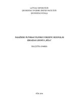 Diplomdarbs 'Pasažieru plūsmas telpisko virzienu sezonālās izmaiņas lidostā „Rīga”', 1.