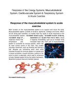Prezentācija 'Response of the Energy Systems, Musculoskeletal System, Cardiovascular System an', 1.