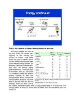 Prezentācija 'Response of the Energy Systems, Musculoskeletal System, Cardiovascular System an', 7.