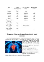 Prezentācija 'Response of the Energy Systems, Musculoskeletal System, Cardiovascular System an', 8.