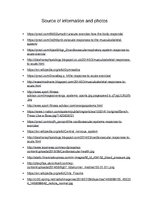 Prezentācija 'Response of the Energy Systems, Musculoskeletal System, Cardiovascular System an', 13.