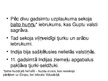 Prezentācija 'Indija un Ķīna no senajiem līdz jaunajiem laikiem', 19.