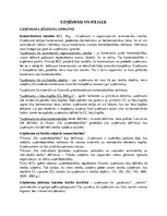 Konspekts 'Uzņēmums un filiāle', 1.