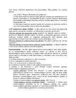 Konspekts 'Uzņēmums un filiāle', 3.