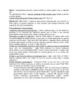 Konspekts 'Uzņēmums un filiāle', 6.