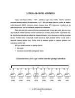 Referāts 'Ciparu komutācijas sistēmas - AXE tehniskā ekspluatācija, apkalpošana un vadība', 17.