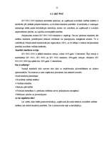 Referāts 'ISO standarti', 12.