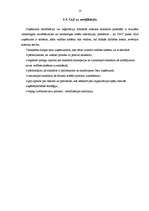 Referāts 'ISO standarti', 13.