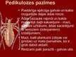 Prezentācija 'Kukaiņi. Cilvēka parazīti', 5.