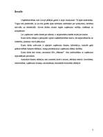 Referāts 'SIA „Nākotne” uzņēmējdarbības analīze', 3.