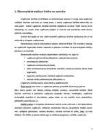 Referāts 'SIA „Nākotne” uzņēmējdarbības analīze', 4.