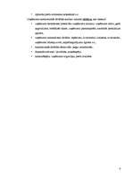 Referāts 'SIA „Nākotne” uzņēmējdarbības analīze', 6.