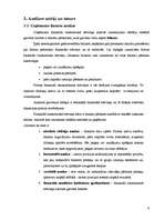 Referāts 'SIA „Nākotne” uzņēmējdarbības analīze', 9.