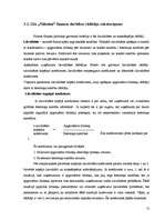 Referāts 'SIA „Nākotne” uzņēmējdarbības analīze', 12.