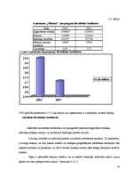 Referāts 'SIA „Nākotne” uzņēmējdarbības analīze', 14.