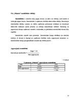 Referāts 'SIA „Nākotne” uzņēmējdarbības analīze', 16.