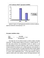 Referāts 'SIA „Nākotne” uzņēmējdarbības analīze', 17.