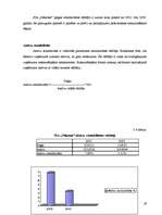 Referāts 'SIA „Nākotne” uzņēmējdarbības analīze', 19.