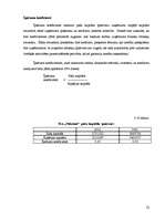 Referāts 'SIA „Nākotne” uzņēmējdarbības analīze', 22.