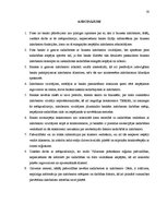 Referāts 'Topošā biznesa inkubatora mērķauditoriju izpēte pēc sadarbības un konkurences as', 33.