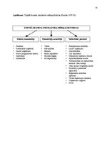 Referāts 'Topošā biznesa inkubatora mērķauditoriju izpēte pēc sadarbības un konkurences as', 41.
