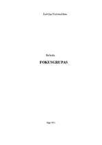 Referāts 'Fokusgrupas', 1.
